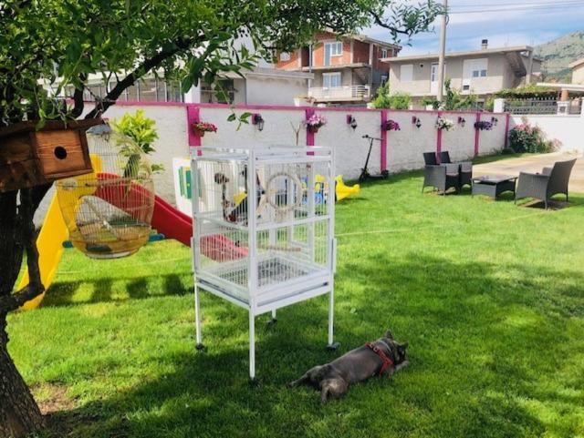 Apartman Mona Podgorica Buitenkant foto